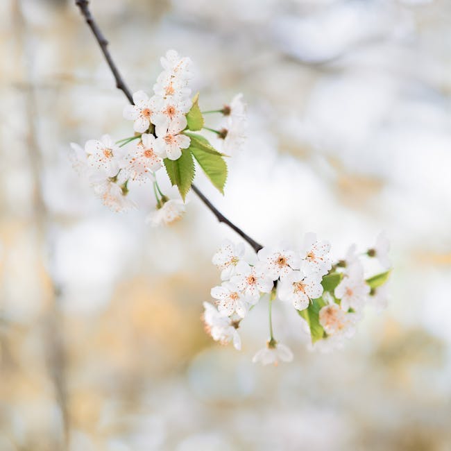 Seasonal wardrobe swap: transitioning your closet from winter to spring