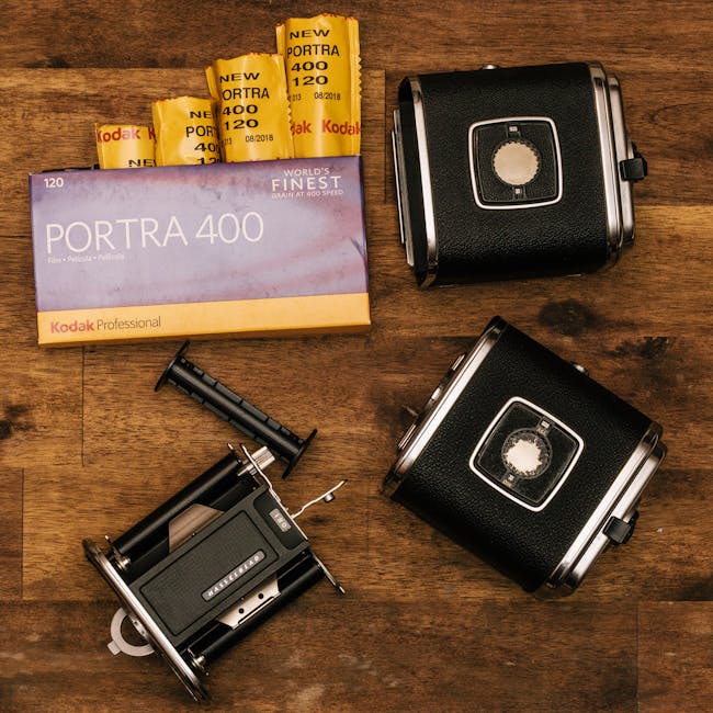Case studies: successful wholesale businesses and their strategies