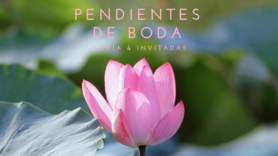 Pendiente novias
