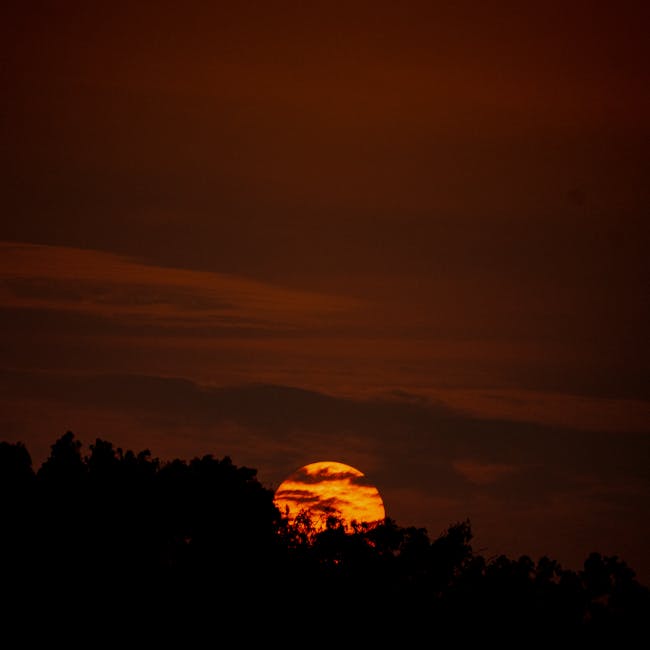 De Ultieme Gids voor het Verzorgen van uw Be Sunset Stukken