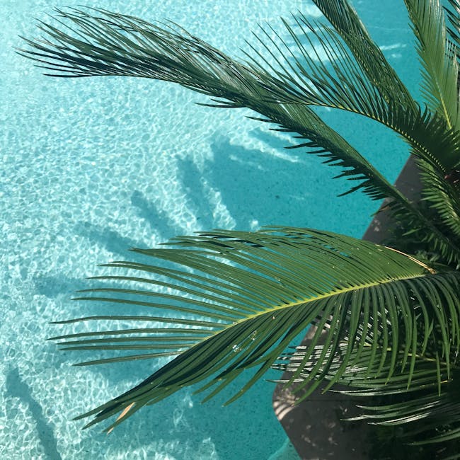 Choosing the ideal pareo for your next beach getaway