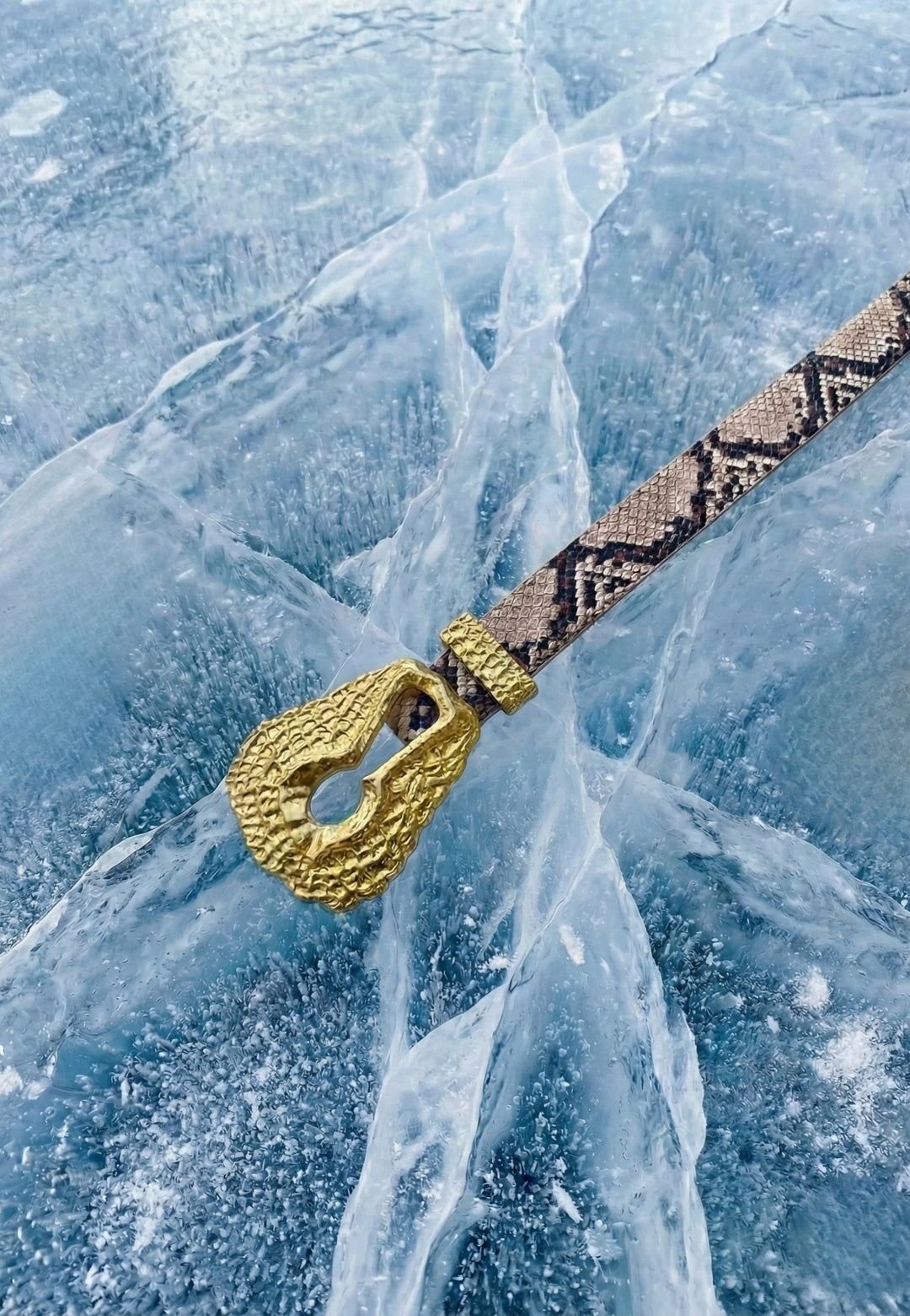 Cintura Cobra