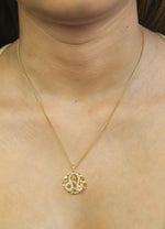 Load image into Gallery viewer, stellar leo coin pendant Bombay Sunset
