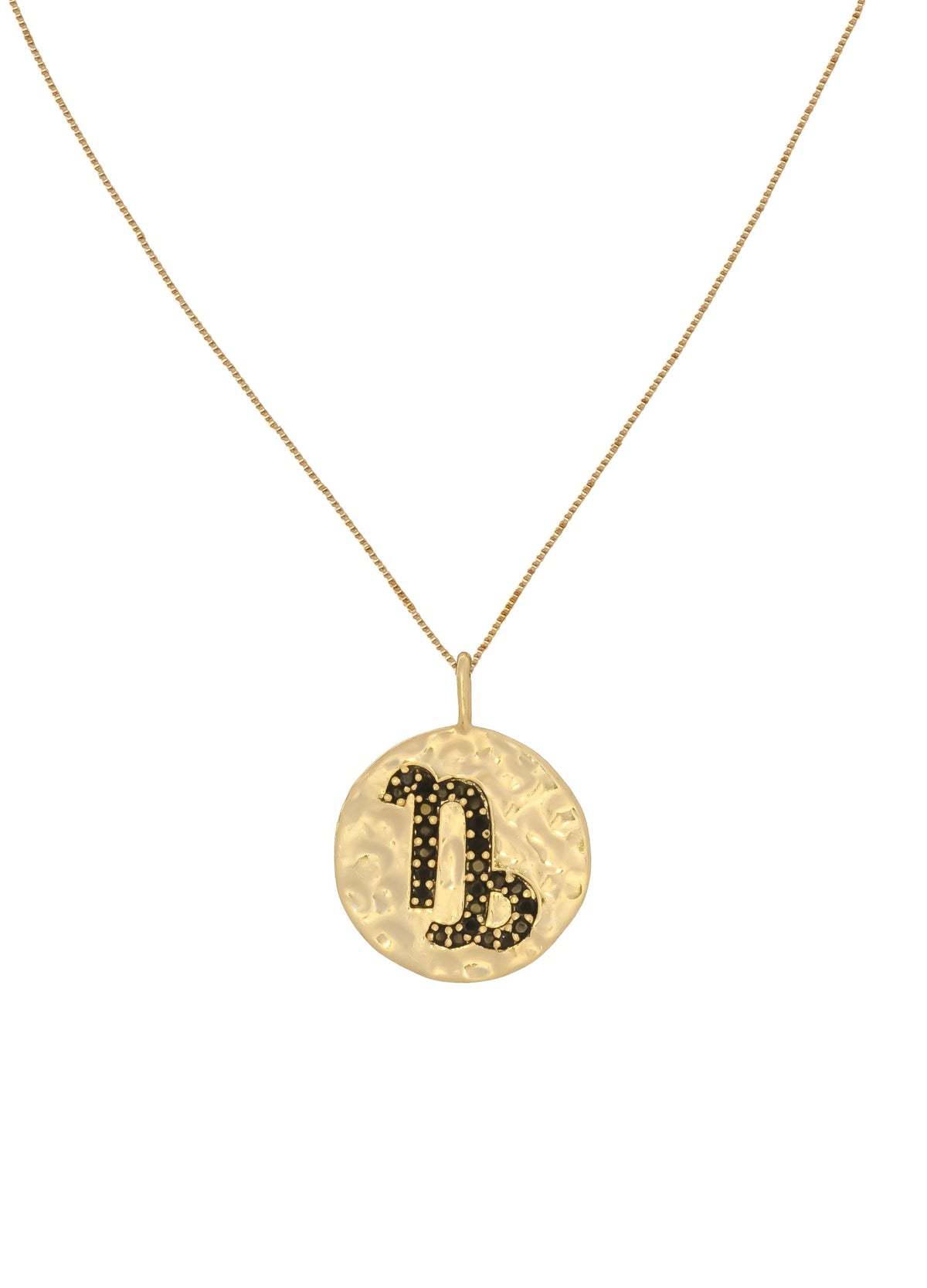 Stellar capricon coin pendant bombay sunset