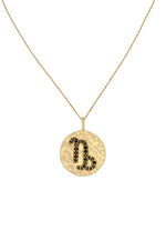 Load image into Gallery viewer, stellar capricon coin pendant Bombay Sunset
