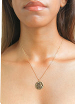 Load image into Gallery viewer, stellar capricon coin pendant Bombay Sunset
