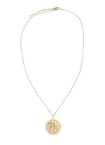 Load image into Gallery viewer, stellar capricon coin pendant Bombay Sunset
