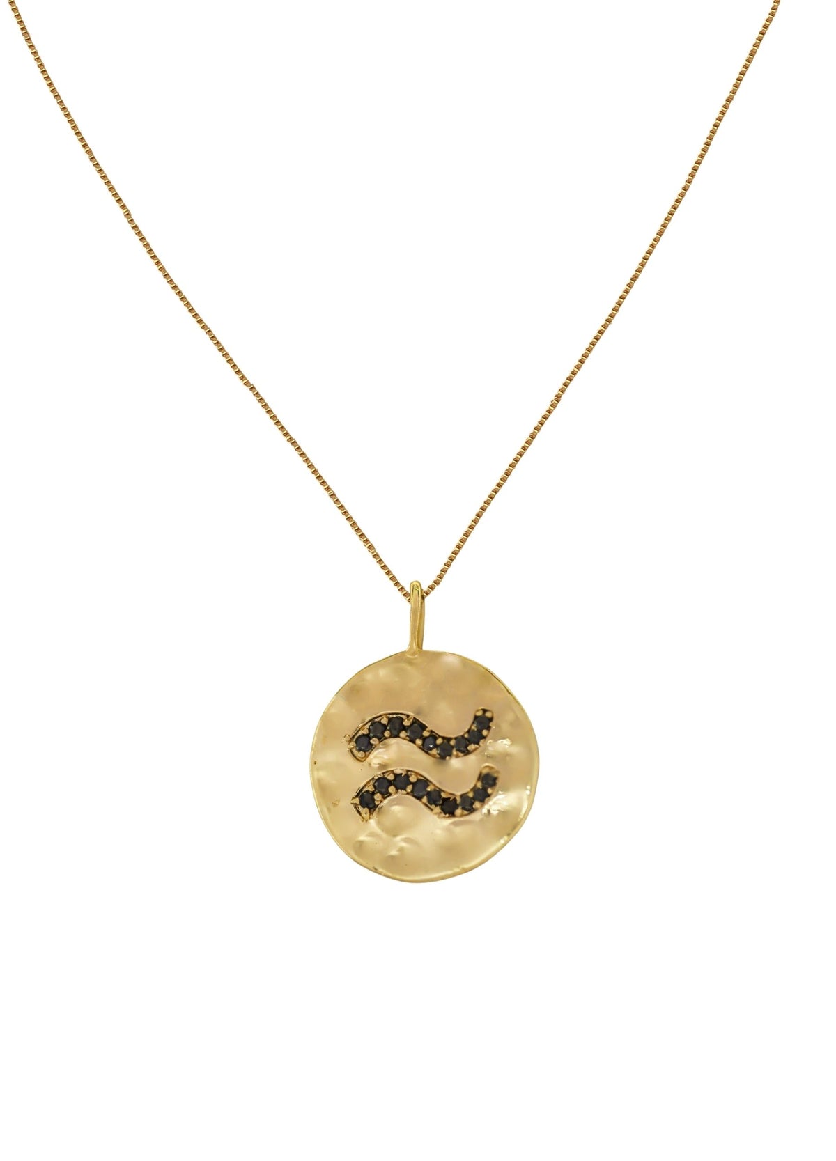 Stellar aquarius coin pendant bombay sunset
