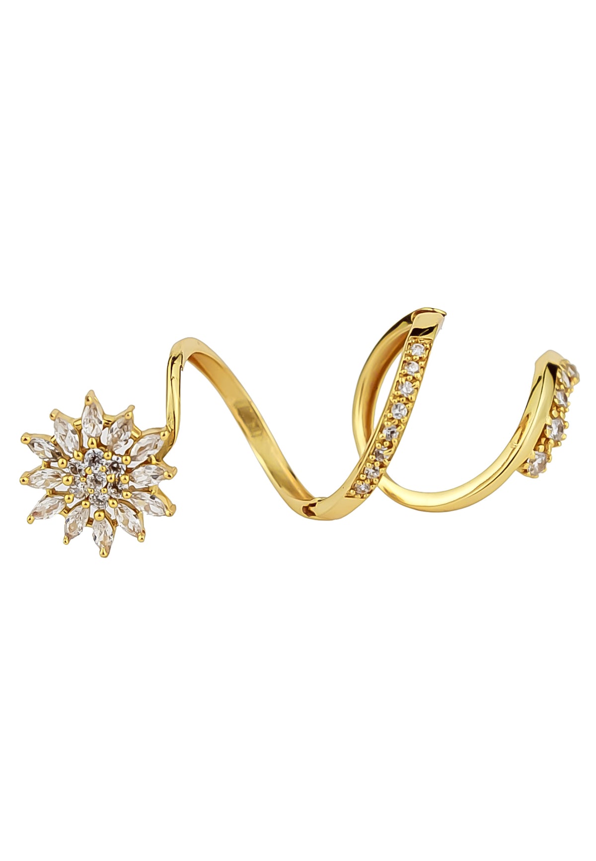 Passion flower climbing ring bombay sunset