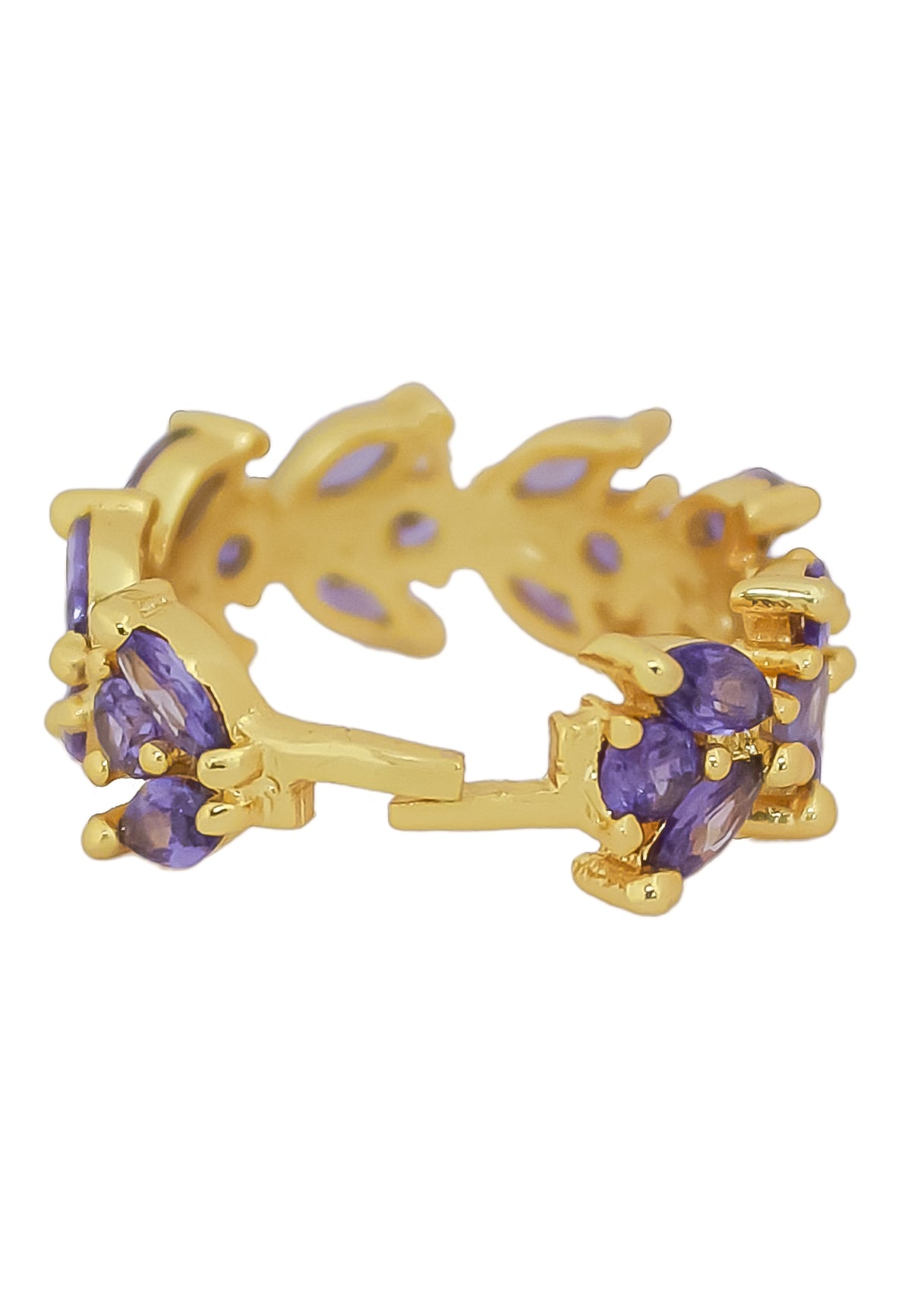 Anillo de la fellowship bombay be sunset