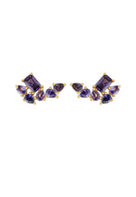 Load image into Gallery viewer, tweet earrings Bombay Sunset
