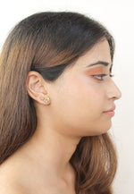 Load image into Gallery viewer, tweet earrings Bombay Sunset
