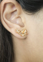 Load image into Gallery viewer, tweet earrings Bombay Sunset
