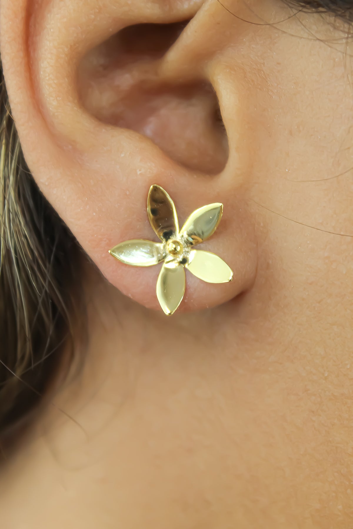 safrilla earrings Bombay Sunset